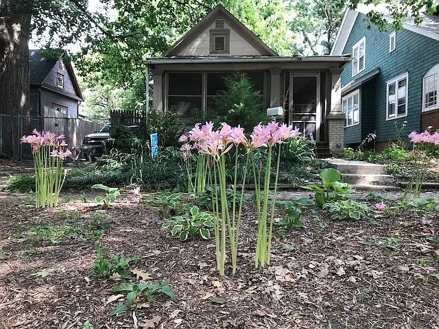 504 E Elm St