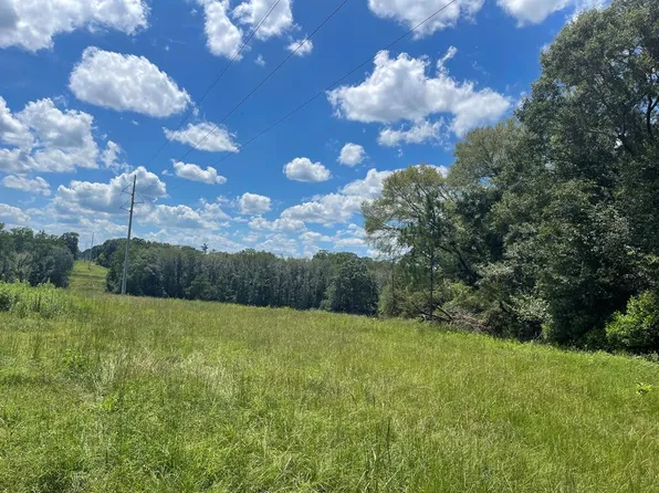 1 County Road 2213, Goshen, AL 36035