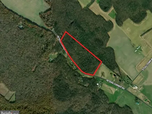 Peters Corner Rd, Sudlersville, MD 21668