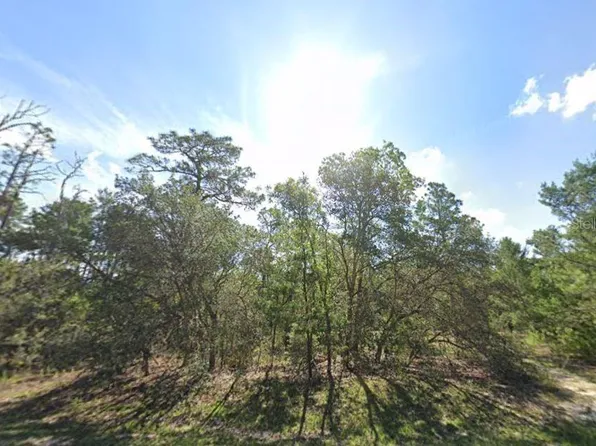 0 Fisher Crse #13, Ocklawaha, FL 32179