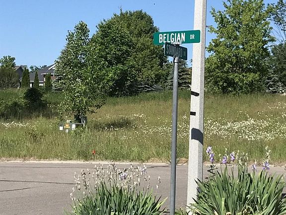3rd image of LOT 46 Belgian Dr
