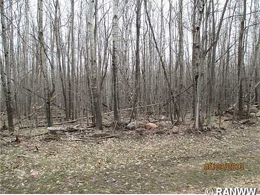 2nd image of 0 Basty Road