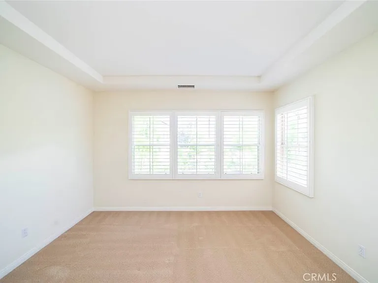 33 Bromeliad — Photo 21