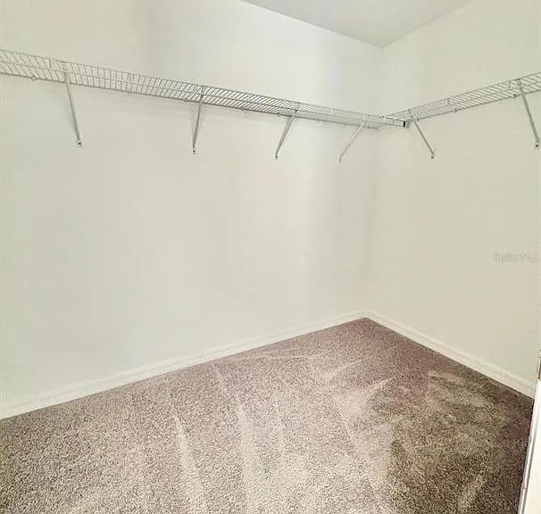 10321 Trumpet Honeysuckle Way — Photo 13