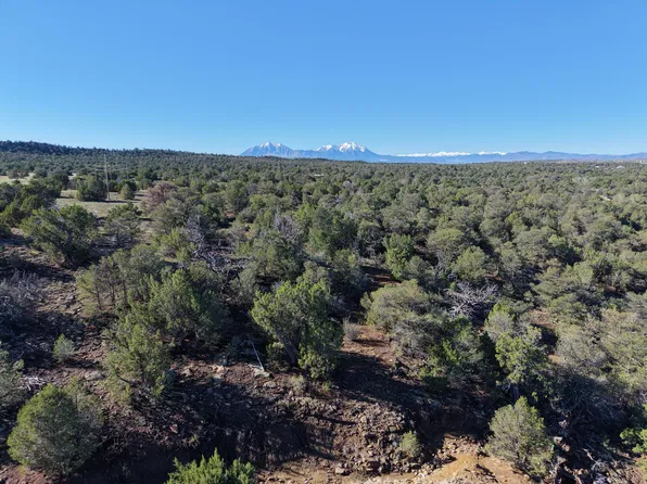 Los Vaqueros Cir Lot 899, Walsenburg, CO 81089
