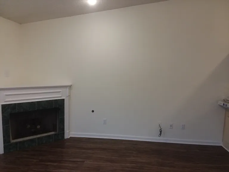 2803 Saw Palmetto Ln — Photo 4