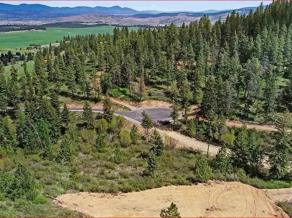 6801 S Bridle Trail Ln, Greenacres, WA 99016