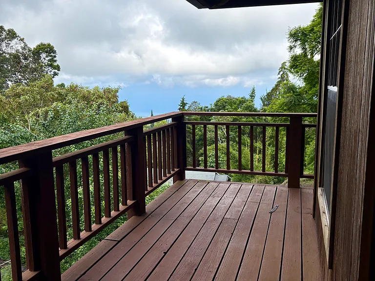 Polipoli Rd — Photo 11