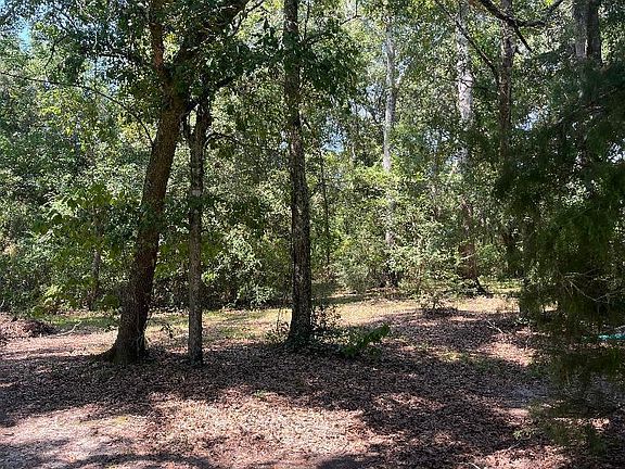 2nd image of 17241 Old Joe Moran Rd