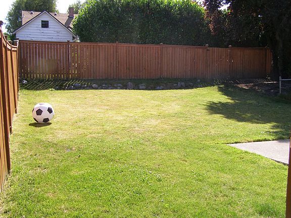 Back yard