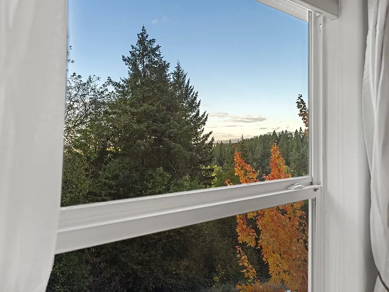 3810 Colony Oaks Dr — Photo 30