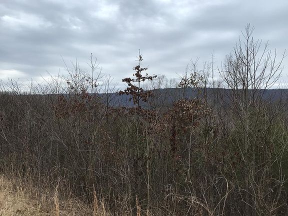 2nd image of 321 County Road 849