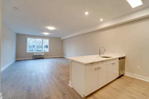 42 Spring St #305 Photo 1