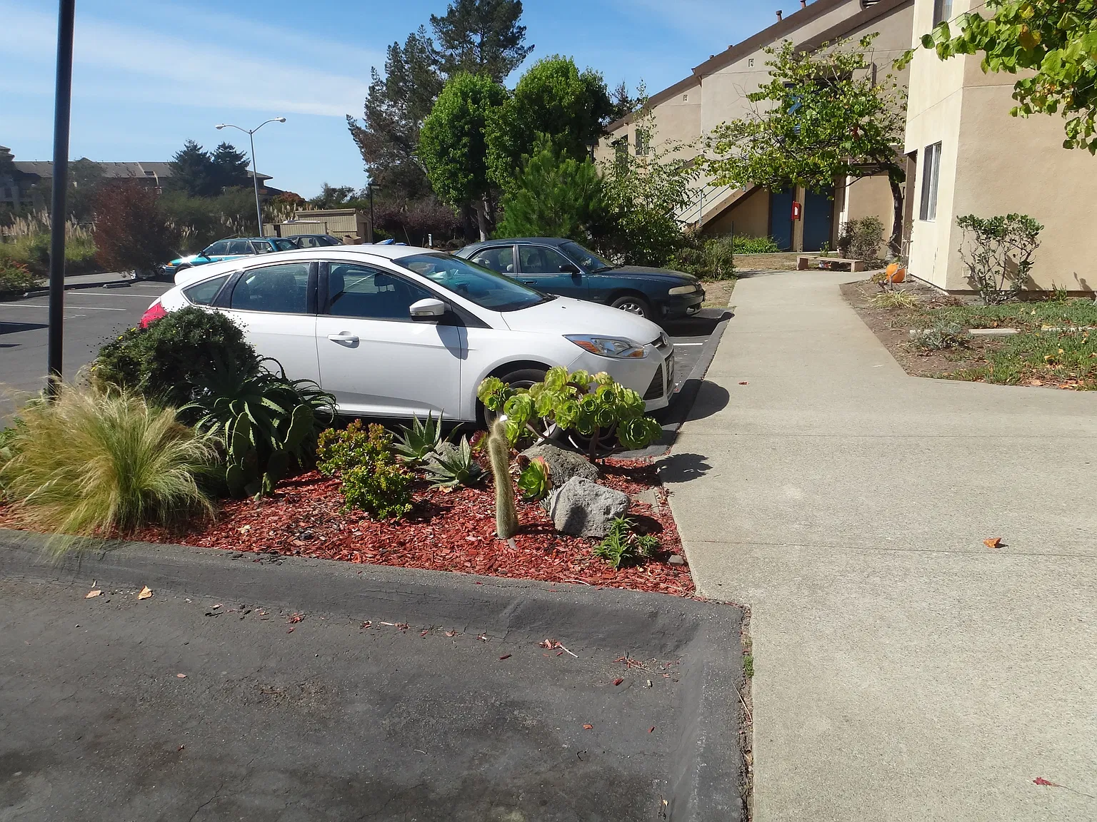 3 bed, 1.5 bath, 1200 sqft, $3,500 — Photo 2