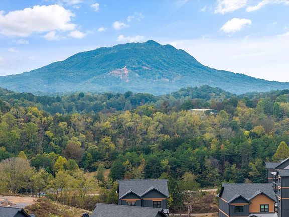 4th image of 331 Rambling Creek Way Lot 55R