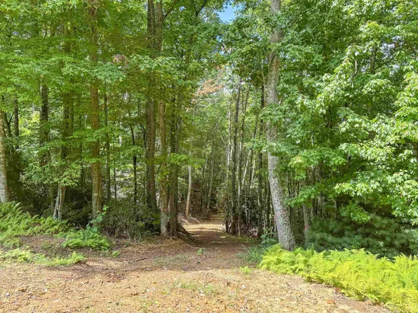 102 Mossy Oak Ln, Bland, VA 24315
