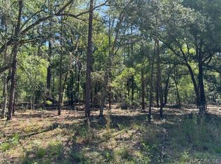 8587 N Spikes Way, Citrus Springs, FL 34434