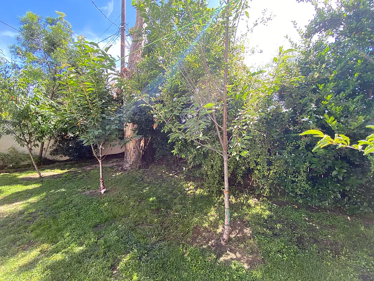 6721 Melba Ave — Photo 33