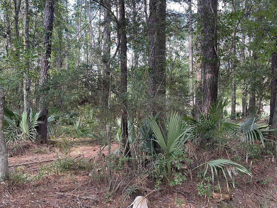 1st image of 11189 Sandra Dr