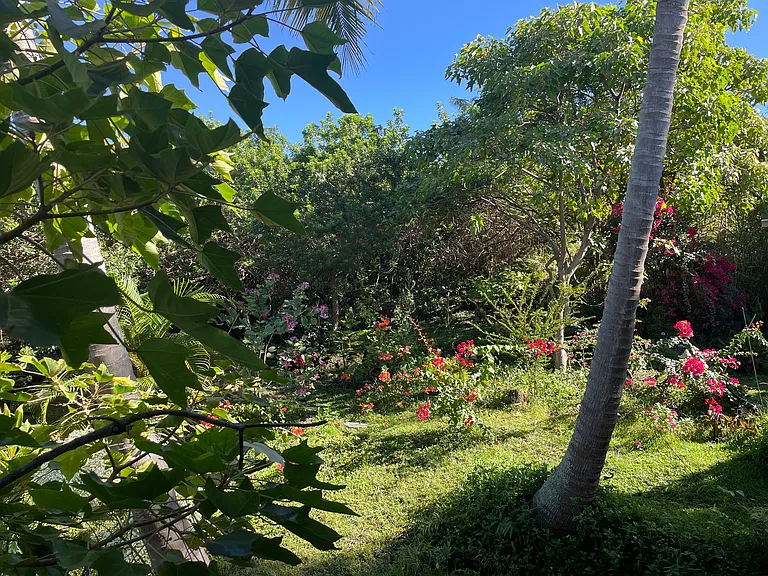 87-3220 Datura Rd — Photo 12