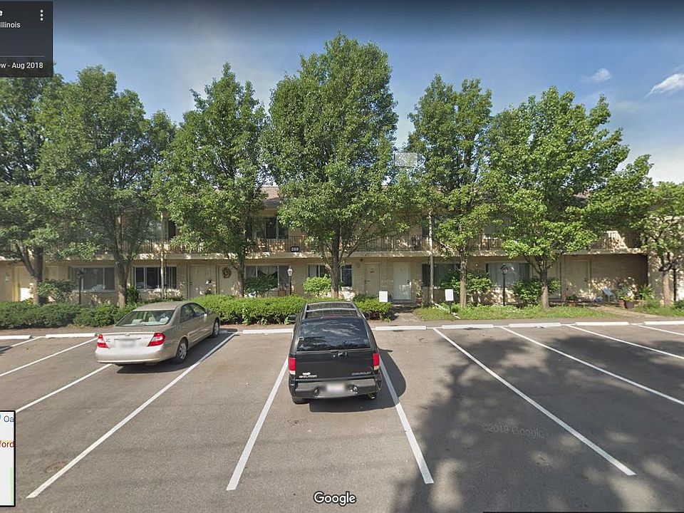 new lots, lots of trees