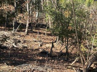 110 Lake Summit Dr, Chapin, SC 29036