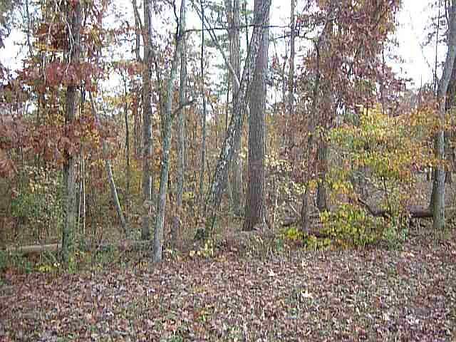 1st image of LOT 54 Warman Dr #54