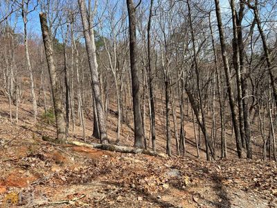 6055 Crested Iris Cir #6055, Jasper, GA, 30143