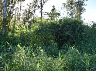 Stardust Dr LOT 36, Pahoa, HI 96778