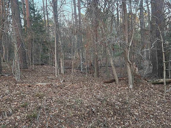 2nd image of 0 Redbud Dr