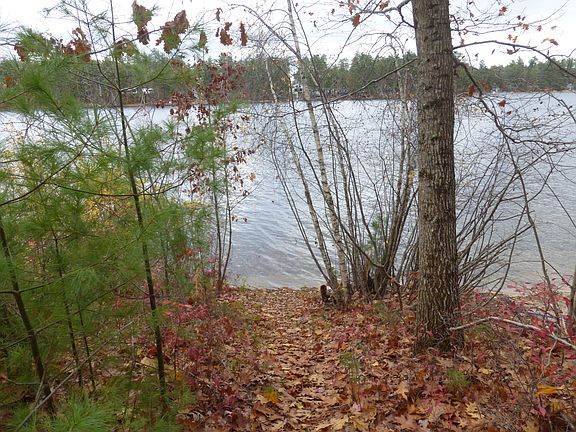 2nd image of 99 July Street