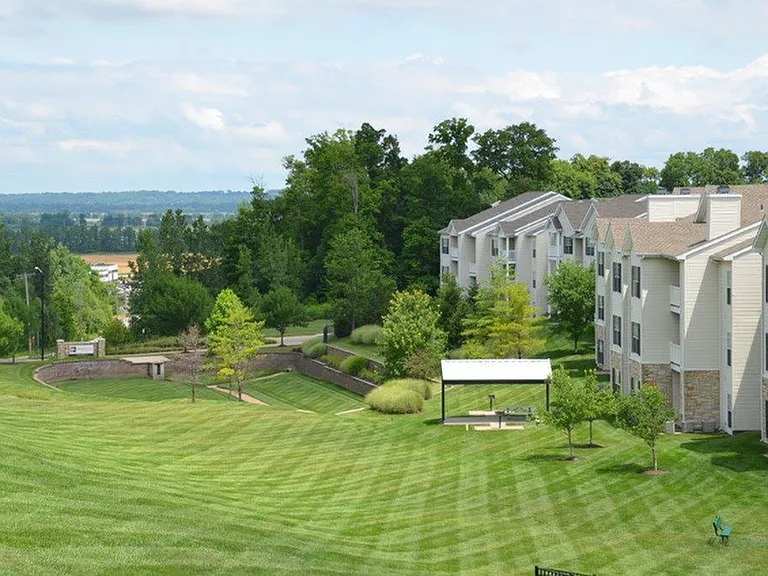 Stunning Grounds