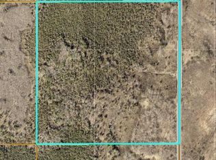 Little, Emily, MN 56447