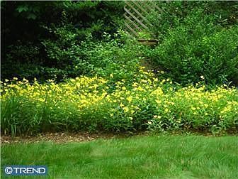 Rear Yard