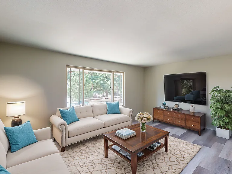 Chic Living Room Design