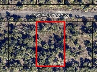 1058 Bayberry St SW, Palm Bay, FL 32908