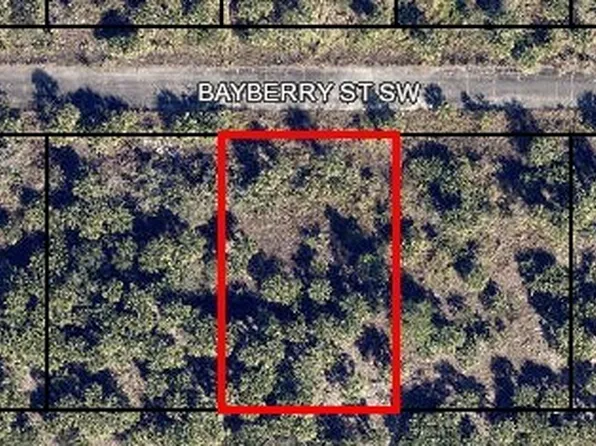 1058 Bayberry St SW, Palm Bay, FL 32908