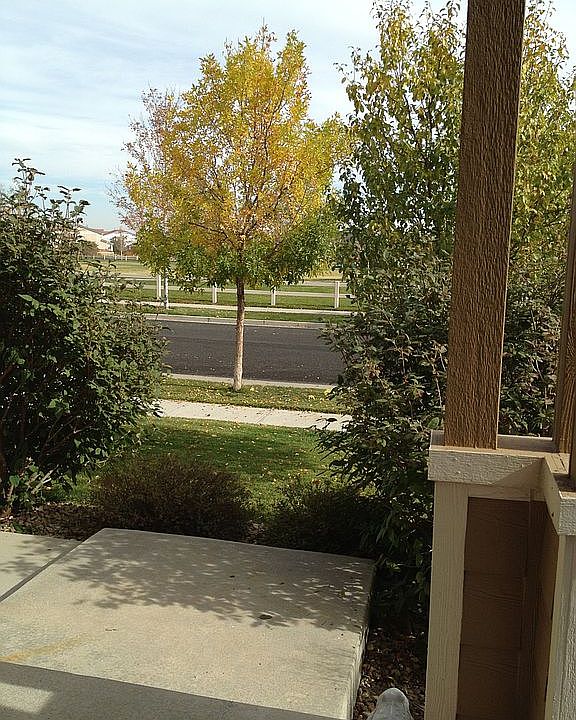  Peaceful Front Porch View