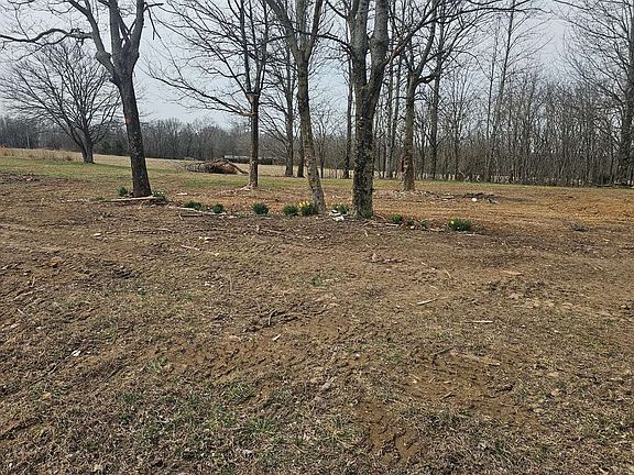 4th image of 1815 Luther Herald Rd