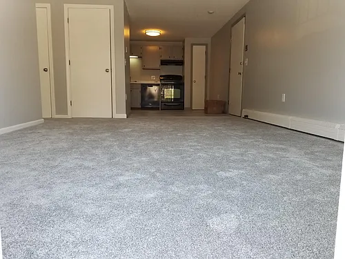 409 White Cedar Blvd Photo 1