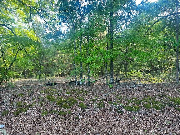 4th image of LOT 15 Old Abbeville Hwy