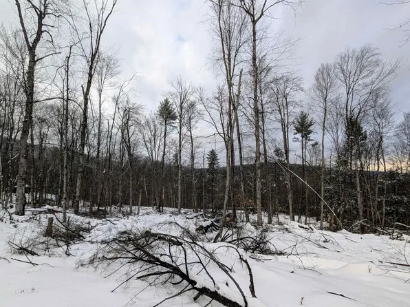 0 Dover Road, Newfane, VT 05351