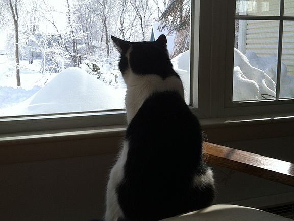 LR pic window, water view