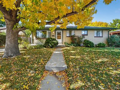 1621 S Ames Street, Lakewood, CO, 80232