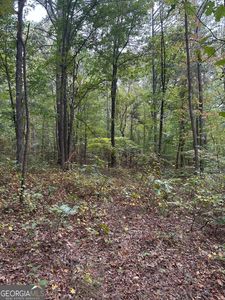 3826 Salacoa Rd #C, Waleska, GA, 30183