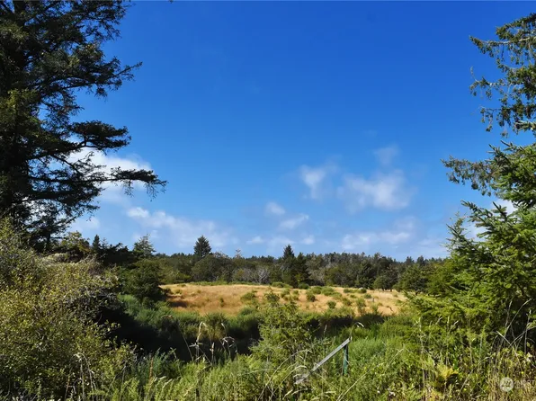 2917 Oysterville Road, Ocean Park, WA 98640
