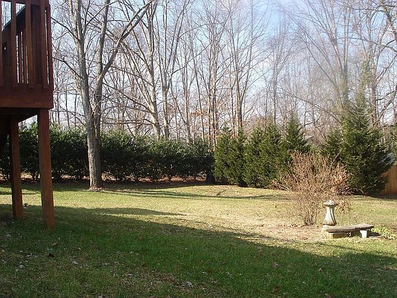 Big semi private back yard