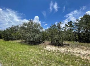 1669 W Hampshire Blvd, Citrus Springs, FL 34434
