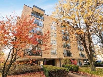 424 Park Ave APT 205, River Forest, IL, 60305