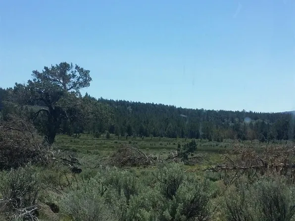 Clarks Valley Rd, Madeline, CA 96119